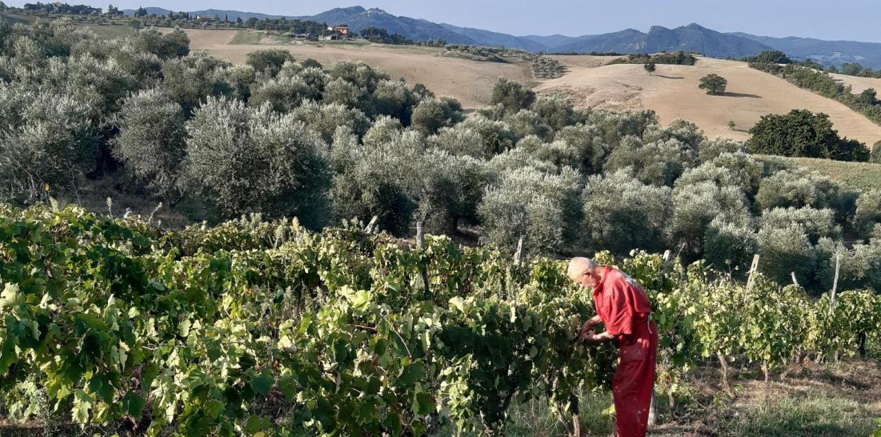 Agriturismo Santa Chiara Pomarance Extérieur photo